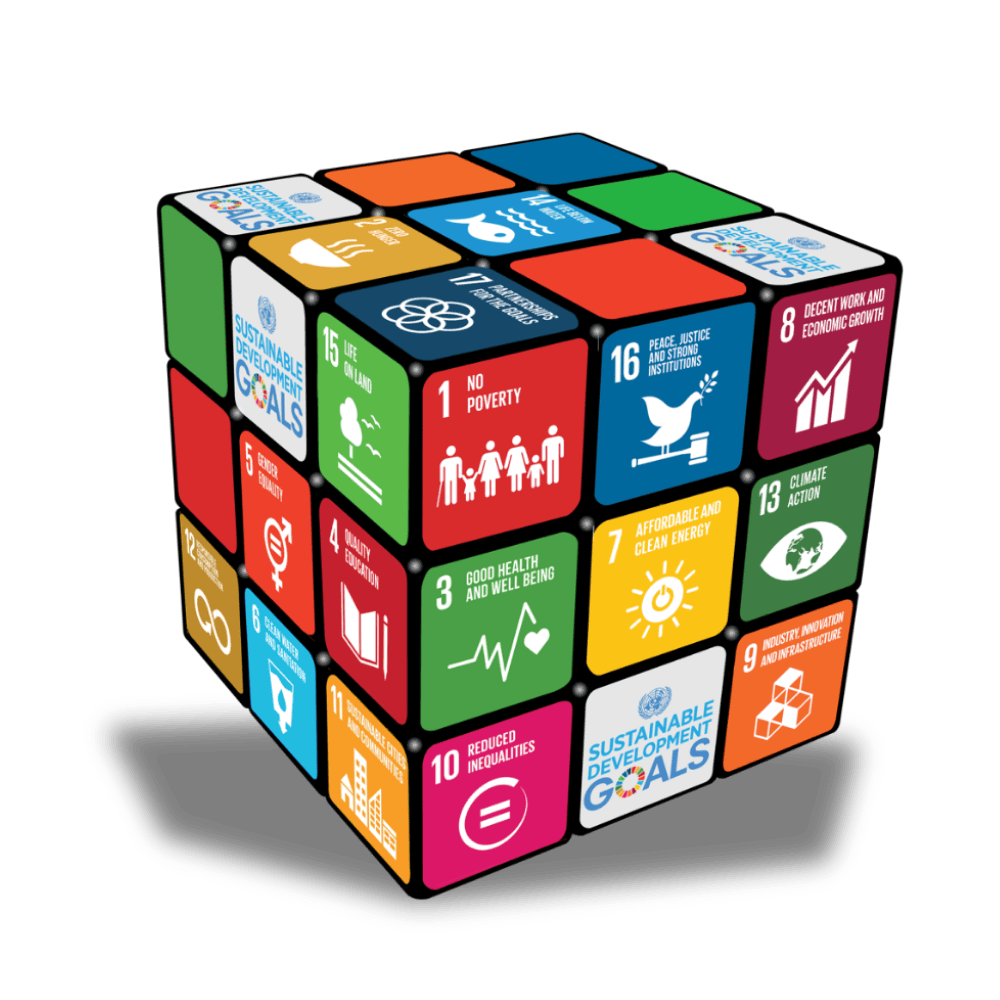 SDG Goals Overview